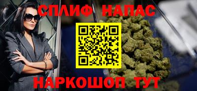 сатива Коммунар