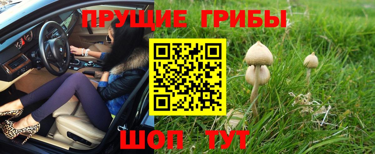Псилоцибиновые грибы Magic Shrooms  Псилоцибиновые грибы GOLDEN TEACHER  Хасавюрт  Вход с VPN 